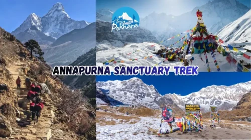 Annapurna Sanctuary Trek in Nepal: A Must-Do Trek Adventure