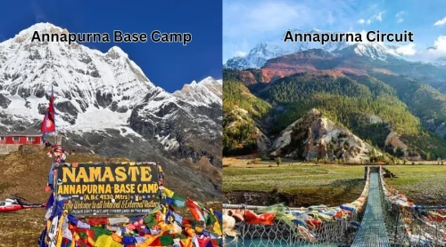 Annapurna Circuit vs Annapurna Base Camp Trek: Which Trek Is Right for You?