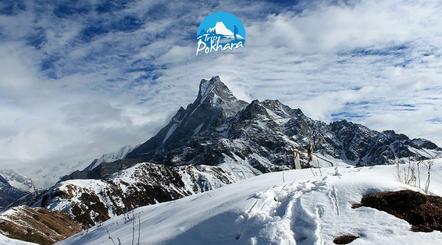 3-Day Mardi Himal Trek: Summit Views in the Annapurna Sanctuary (Shortest Itinerary)