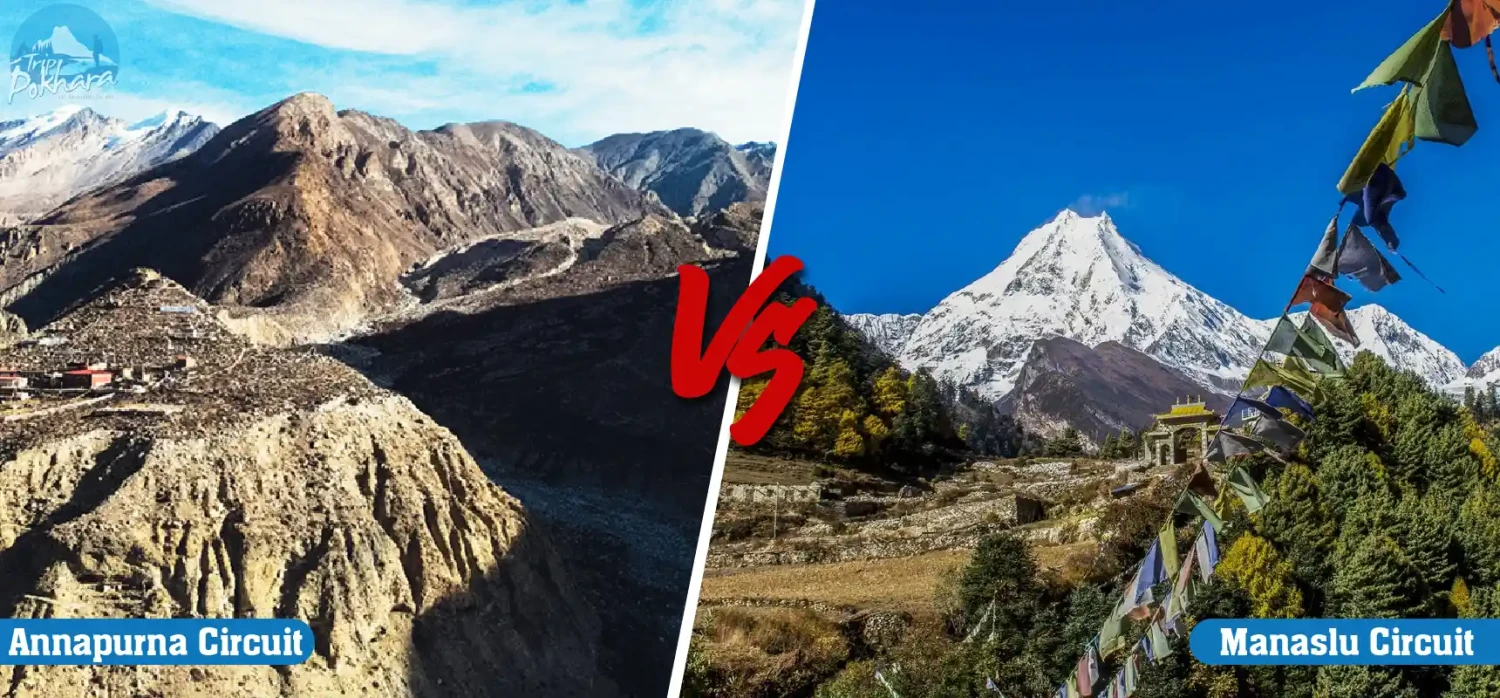 Annapurna Circuit Trek vs Manaslu Circuit Trek: Choosing the Right Trek