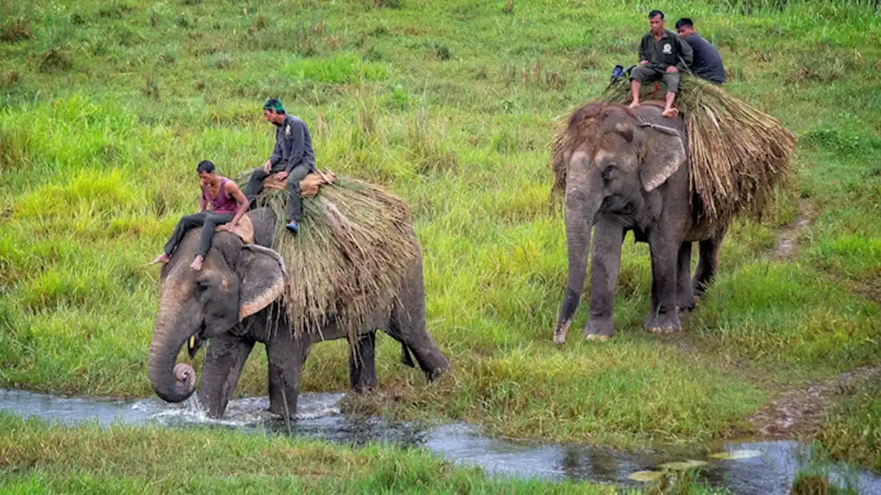 two person riding elephant