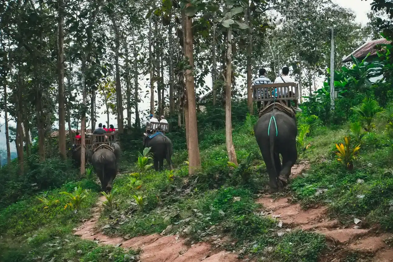 Elephant Safari in Chitwan National Park