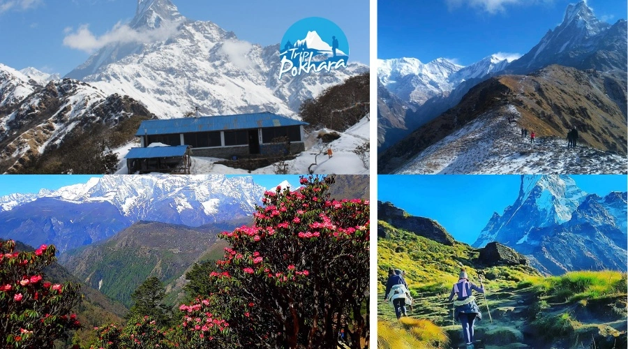 beautiful trail of mardi himal trek 3 days