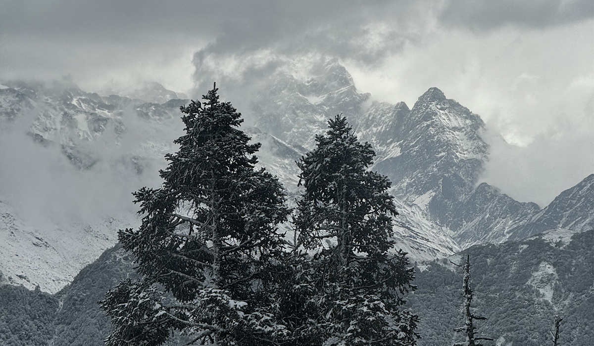 Mohare Danda Trek: A Serene Himalayan Experience