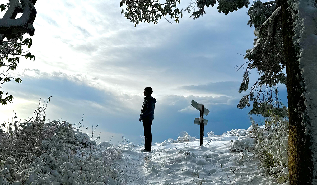 Mohare Danda Trek: A Serene Himalayan Experience