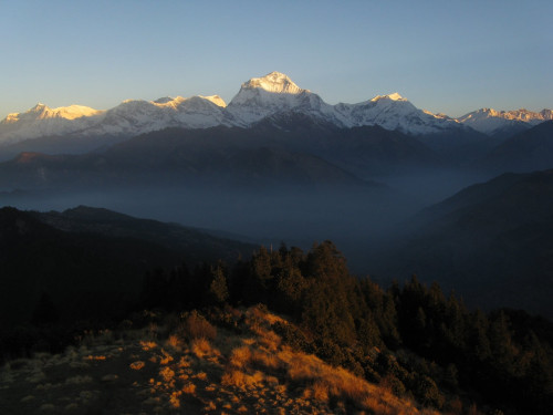 Ghorepani Poon Hill Trek