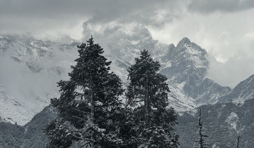 Mohare Danda Trek: A Serene Himalayan Experience