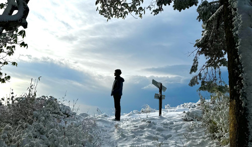 Mohare Danda Trek: A Serene Himalayan Experience