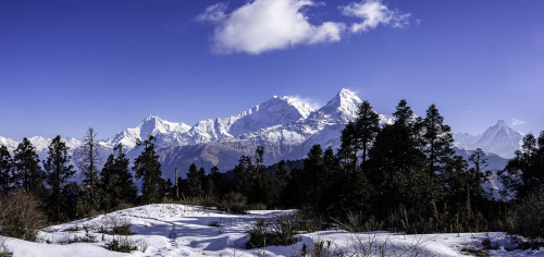 Short Trekking Packages