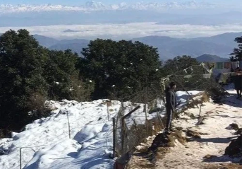 Phulchowki Hiking – Best Day Trek from Kathmandu to Phulchowki Hill (2,782m)