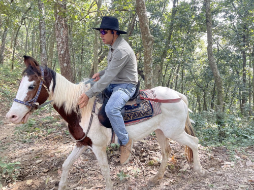 Stupa Horse Ride Tour