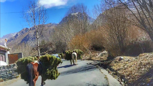 Upper Mustang and Lo Manthang Jeep Tour: Explore Nepal’s Last Forbidden Kingdom