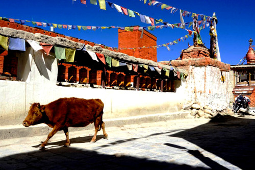 Upper Mustang and Lo Manthang Jeep Tour: Explore Nepal’s Last Forbidden Kingdom