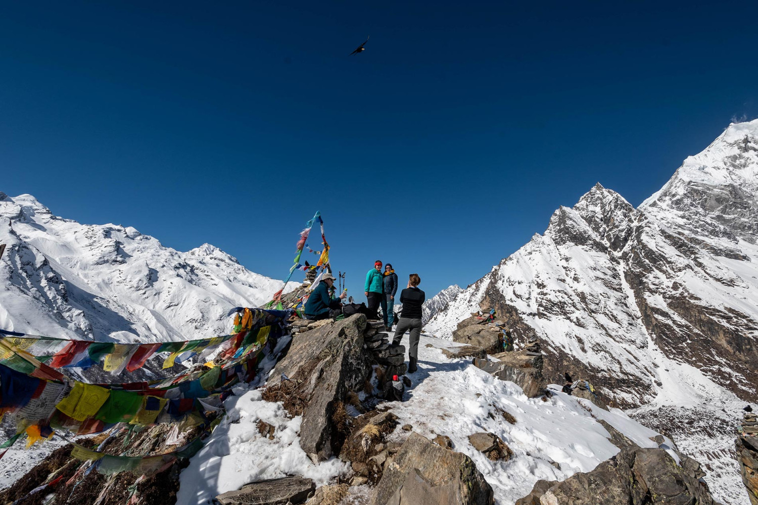 Langtang Region Trekking