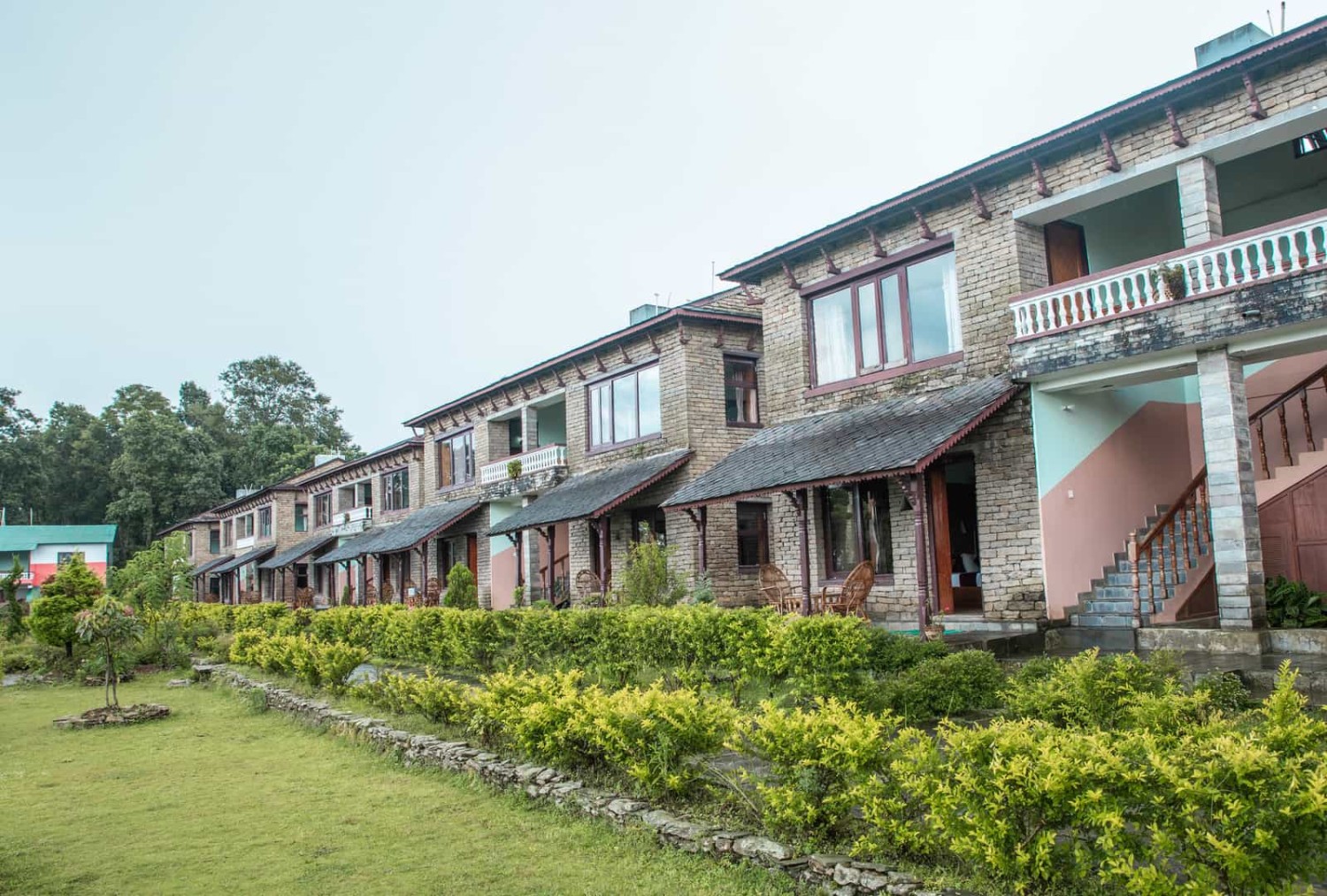 Himalayan Durali