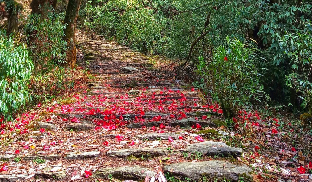 Pokhara Tour and Panche Hiking Package